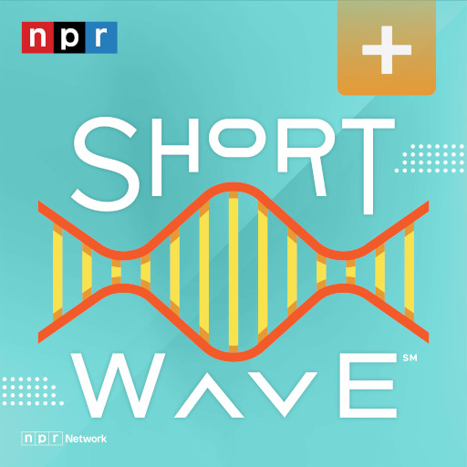 logo depicting a standing wave with vertical bars